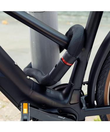 Buy Abus Goose Lock - Flexible 6mm Hardened Steel Bicycle Lock with Key 110cm - Rattling-Free & Secure | International Shipping Available - Buy Online on GoSupps.com