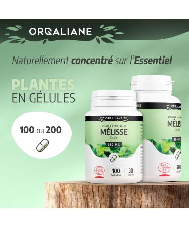 Lemon Balm 250 mg - 200 Capsules - Ecocert Certified - Buy Online on GoSupps.com