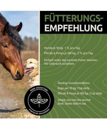 Greenpet Salmon Oil for Dogs & Horses - 1L Omega-3 Fish Oil for Shiny Fur & Vital Skin | Premium Norwegian Salmon Oil for Optimal Fur Care - Buy Online on GoSupps.com