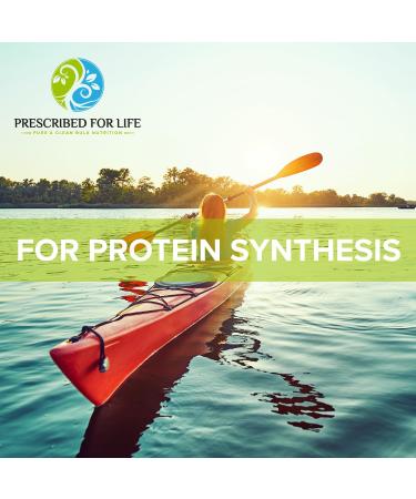 Prescribed For Life L Glutamine Powder Pure L Glutamine Amino Acids Supplement Gluten Free Vegan Kosher Non GMO (340g) 11.99 Ounce (Pack of 1) - Buy Online on GoSupps.com