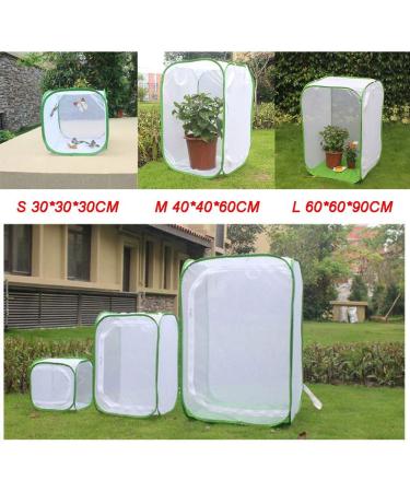 Kisbeibi Translucent Insect Cage Net Butterfly Habitat Cage Plant Greenhouse Tent Foldable Protective Cage Butterfly Garden (Size: M 15.74 x 15.74 x 23.62 inches) m 15.74x15.74x23.62 zoll - Buy Online on GoSupps.com