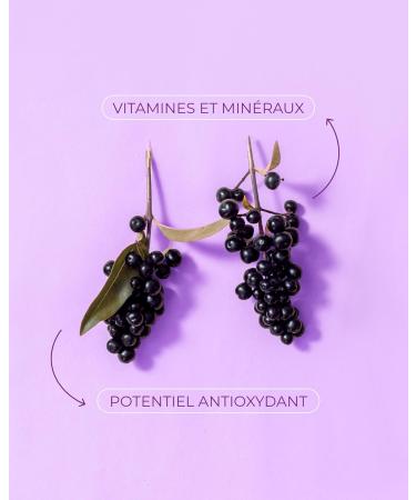 Sambucol Immuno Forte Gummies 30 Gommes Sureau Noir + Vitamine C & Zinc Pour Adultes & Enfants 12+ Vegan Sans Colorants Artificiels - Buy Online on GoSupps.com