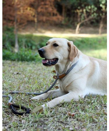 Shop Lynxking Tow Lines for Dogs - Durable Retrieving Linen for Small Medium & Large Breeds - Pink 1.3cm x 180cm - Buy Online on GoSupps.com