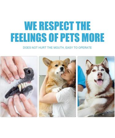 Dog Toothpaste Pet Teeth Brushing Cleaning Breath Promote Fresh Breath - 2 oz Cat Dental Care Tooth Paste Prevent Tartar Plaque | Oral Care Restore Luster for Puppy Kitten 12b - Buy Online on GoSupps.com