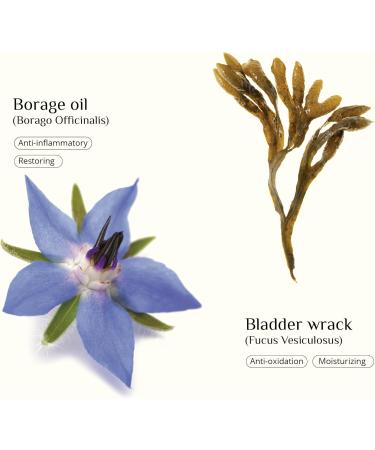 SEAWEED ORGANICS - Restoring Facial Oil with Organic Safflower Oil Jojoba Seed Oil Borage Oil and Seaweed Extract 30ml Diana Drummond - Buy Online on GoSupps.com