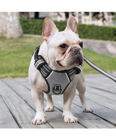 Heele Adjustable No-Pull Dog Harness for Small Dogs | Breathable & Reflective with Padded Handle | XS Size (33-43cm) - Gray - Buy Online on GoSupps.com
