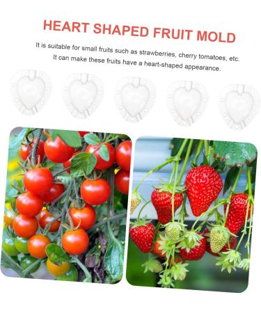 SUPVOX Fruit Growth Molds 5pcs Fruit Shaping Mold Gardening Supplies Vegetable Plastic Vegetable Mold - Buy Online on GoSupps.com