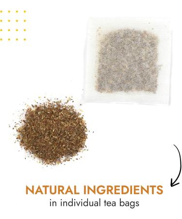  Alpi Nature Alpi Nature Organic St. John's Wort Tea 120 Tea Bags 120g Pack of 6 x 20 x 1g Bags - Buy Online on GoSupps.com