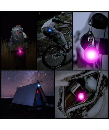 Serda-Run LED Dog Collar | Adjustable Light-Up Neck Band for Night Safety | Bright Charging Light Tape - Buy Online on GoSupps.com