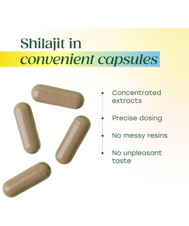 MegaFood Shilajit 10 000mg with Fulvic Acid - Shilajit for Men & Women - May Help Support Healthy Testosterone Levels Muscle Strength & Energy Levels - Vegan Gluten Free 60 Capsules 30 Day Supply - Buy Online on GoSupps.com
