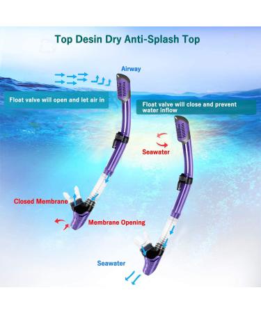 Happyouth 6 in 1 Snorkel Set with Panoramic View Mask, Trek Fin, and Dry Top Snorkel - Purple, S/M (US Size 4.5-8.5) - Buy Online on GoSupps.com