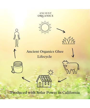 Ancient Organics Grass Fed Ghee â€“ Organic, Gluten Free, Lactose Reduced, 8 oz - USDA Certified - Buy Online on GoSupps.com