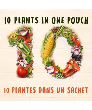 BEN'S ORIGINAL 10 Medley Smoky Southwest Style Whole Grain Barley and Brown Rice Side Dish 240g Pouch Smoky Southwest Style 240g - Buy Online on GoSupps.com