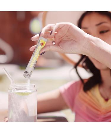 Electrolyte Powder Hydration Packets B12 Elderberry | Strawberry Lemon Twist Flavored 18 Stick Packs Box | Vegan and Plant-Based Sugar Free - Buy Online on GoSupps.com