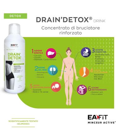 EA FIT DRAIN'DETOX Draineur D toxifiant (500 ml) - Buy Online on GoSupps.com