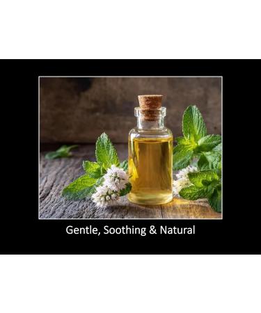 DAANA Peppermint Essential Oil : Pure Undiluted (2 Fl Oz) 2 Fl Oz (Pack of 1) - Buy Online on GoSupps.com