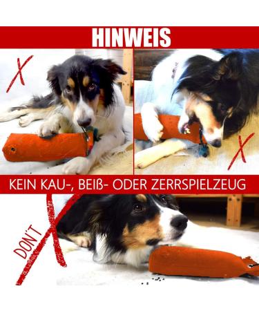 Romneys Search Dummy for Small Dogs - 100g Buoyant Pocket Dummy with Handle - Perfect for Training & Fetch - Buy Online on GoSupps.com