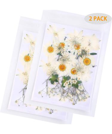 72 PCS Real Dried White Daisy Pressed Flowers for Resin Mold Craft Jewelry Making - Buy Online on GoSupps.com