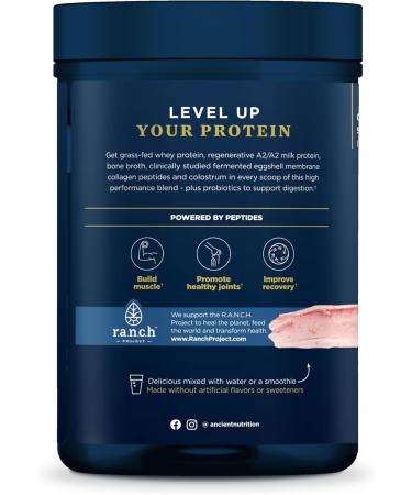 Ancient Nutrition Multi Protein Animal Based Powder 26g Protein Grass Fed Whey Bone Broth Collagen Peptides Colostrum & Probiotics Supports Joint & Gut Health Strawberry 15 Servings - Buy Online on GoSupps.com