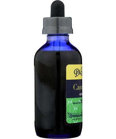 Kids Wellness Herbal Candida Yeast Formula - Gluten Free, 4 Fl Oz | Dr. Rydland - Buy Online on GoSupps.com