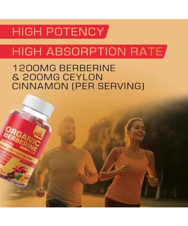 Berberine Supplement Gummies (1200mg) with Ceylon Cinnamon Turmeric Milk Thistle & Artichoke - Sugar Free Gluten Free GMP Quality 60 Count (Pack of 1) - Buy Online on GoSupps.com