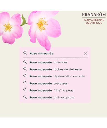 Pranar m | Rose Musqu e Bio - Huile V g tale | Huile Pr cieuse | Riche en Om gas 3 | 50 ml & Jojoba Bio Eco - Huile V g tale | Acides Gras Mono-Insatur s | 50 ml - Buy Online on GoSupps.com
