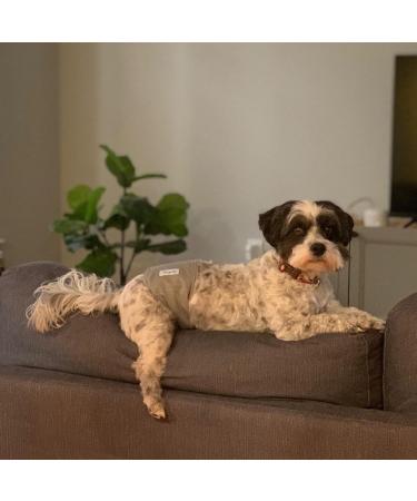 Shop LeerKing Washable Male Dog Diapers - Incontinence Pad for Puppies - Size S in Black Gray & Blue - Buy Online on GoSupps.com