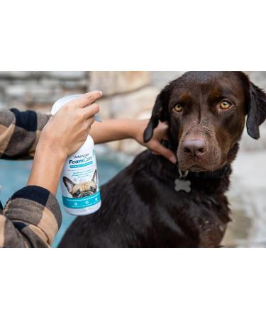 Vetericyn Foamcare Pet Shampoo & Conditioner - Deodorizing Coat Treatment, Natural Plant Based Formula - 473ml - Buy Online on GoSupps.com