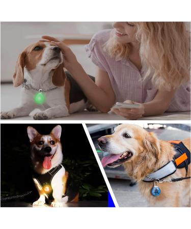 Clip on Pet Collar Light - Colorful LED Safety Light for Dogs and Cats | Waterproof Flashing Dog Collar for Night Walking - Buy Online on GoSupps.com