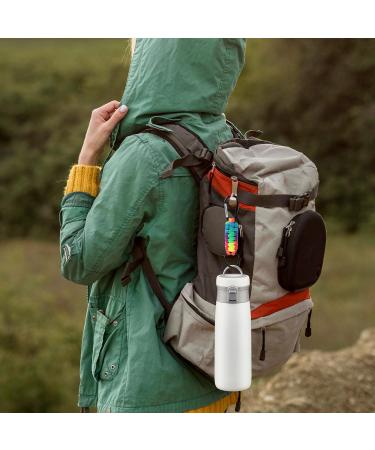 4-PC Multi-Color Key Ring Set with Carabiner | Versatile Lanyard Hook Clip for Fishing Camping & Hiking - Buy Online on GoSupps.com