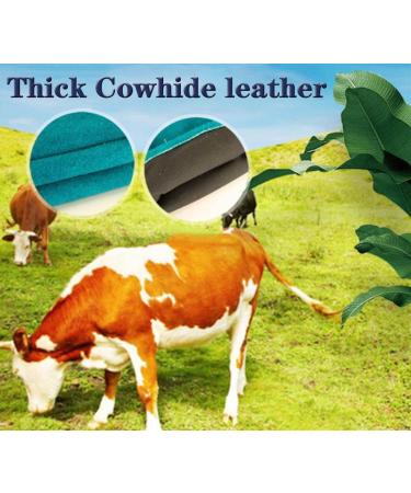 Animal Handling Gloves | Bite Resistant Protection for Dogs, Cats, Birds, Snakes, and Reptiles - Blue - Buy Online on GoSupps.com