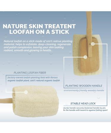 Bleu Bath 2 Pack Exfoliating Loofah Back Brush - 100% Natural Organic Luffa, Long Wooden Handle, for Men, Women, Sensitive Skin - Buy Online on GoSupps.com