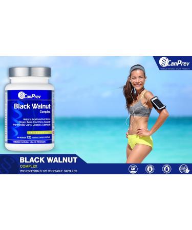CanPrev - Black Walnut Complex 120 v-caps - Black Walnut Supplement for Digestive Health Stomach Pain Relief Easy Digestion Indigestion Relief & Diarrhea Relief - Anti Inflammatory Supplement - Buy Online on GoSupps.com