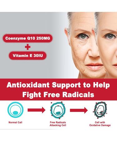 Sugar Free CoQ10 Gummies 250MG | High Absorption Coenzyme Q10 Magnesium Glycinate & Niacin | Heart Health & Energy Support | 60 Count - Buy Online on GoSupps.com