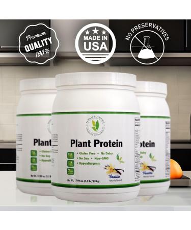 Organic Plant Protein Powder - Vanilla Flavor Gluten Free Dairy Free Soy Free - 17.99oz | Best International Shipping - Buy Online on GoSupps.com
