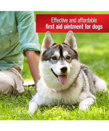 Sulfodene 3 Way Ointment - Fast-Acting Relief for Pets | Buy Online - Buy Online on GoSupps.com