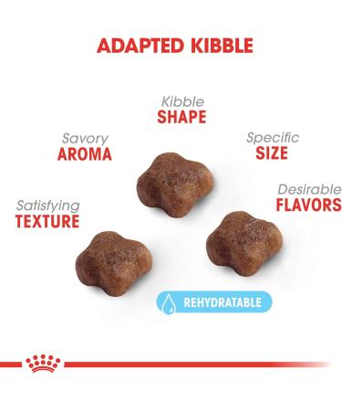 Royal Canin Mother And Babycat Cat Food 3.5-Pound - Buy Online on GoSupps.com