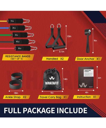 Resistance Bands Exercise Bands Resistance Bands for Working Out Work Out Bands with Handles for Men and Women Fitness Strength Training Home Gym Equipment (Multi) - Buy Online on GoSupps.com