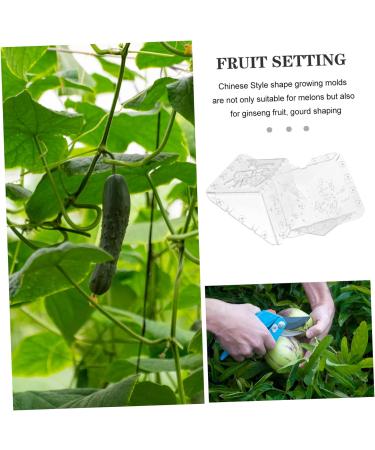 Kisangel 8 Pcs Square Apple Fruit and Vegetable Fruit Shaper Mould Cover - Buy Online on GoSupps.com