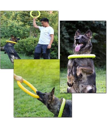 NA 2pcs Dog Toys Ring Outdoor Fitness Flying Discs Water Floating Dog Interactive Training Ring for Small Dog and Medium Dog - Buy Online on GoSupps.com