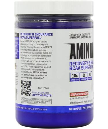 Gaspari Nutrition Aminolast BCAA Superfuel - Strawberry Kiwi 14.8 oz | Recovery & Endurance - Buy Online on GoSupps.com