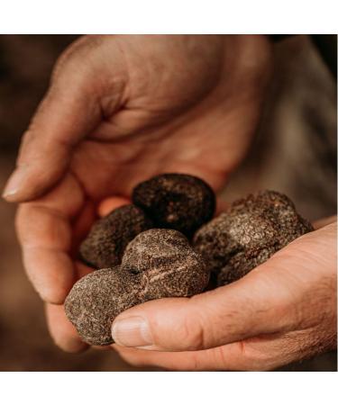 Tomato sauce with summer truffle 2.2% - Pot 190g - Buy Online on GoSupps.com