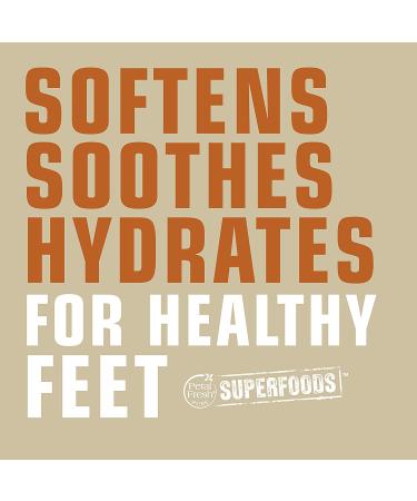 Petal Fresh Pure SuperFoods Foot Balm - Healing & Softening Shea Butter, Tea Tree & Arnica, 7 fl oz - Buy Online on GoSupps.com