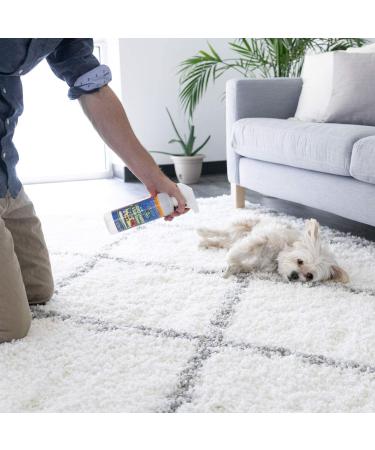Pet-Friendly Carpet Shampoo: Removes Stains in 60 Seconds - Made in USA - Vet Approved - 16oz Spray - Buy Online on GoSupps.com