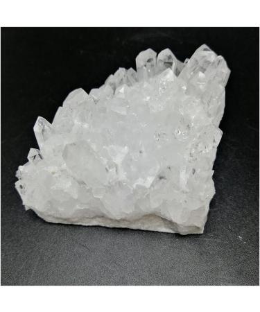 Natural Crystal Rough 1pcs Natural White Quartz Cluster raw Stone Clear Quartz Crystal Cluster Ornaments Specimen (Color : White Size : 90g) 90g White - Buy Online on GoSupps.com