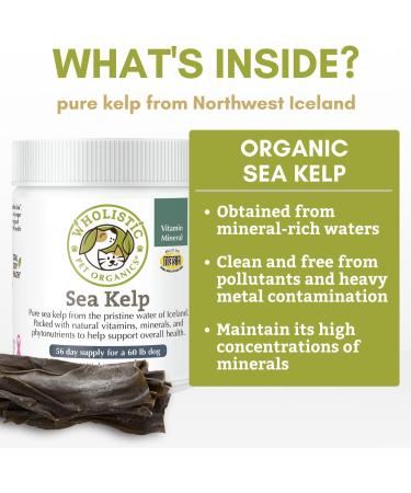 Organic Wholistic Pet Organics Sea Kelp Powder for Dogs - Promotes Healthy Teeth, Thyroid Function, Skin & Coat - Rich in Iodine, Iron, Calcium & Antioxidants - 1 lb - Buy Online on GoSupps.com