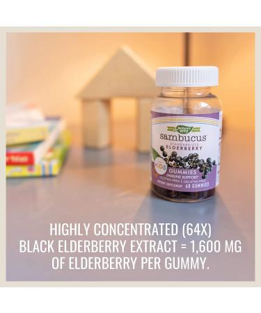 Nature's Way Sambucus Gummies for Kids - Standardized Elderberry, 60 Count - Buy Online on GoSupps.com