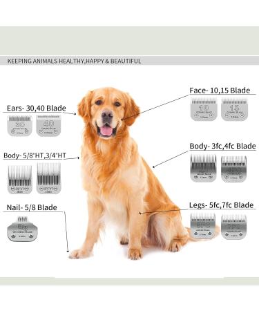 BestBomg Removable Blades for Dog Care - 5/8 Wide Toe Compatible with Heiniger/Moser Max45/Andis/Oster A5 1/32 Cutting Length - Buy Online on GoSupps.com