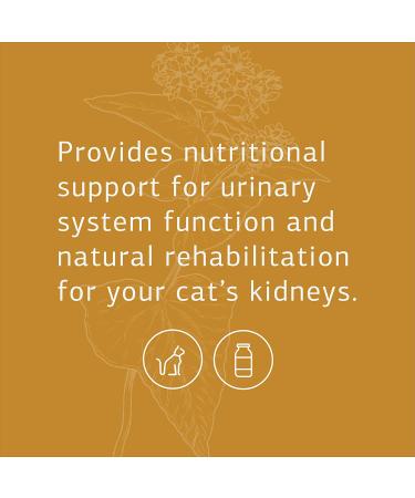 Standard Process Feline Renal Support - Kidney & Urinary Health for Cats - 90 Tablets - Buy Online on GoSupps.com