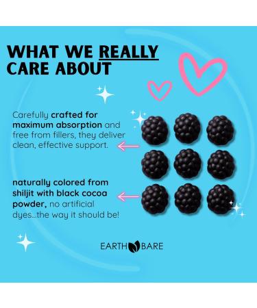 Earth Bare Himalayan Shilajit with Lion s Mane Ashwagandha CoQ10 and Omega-3 Premium Exclusive Gummies for Energy Focus and Wellness - 60 Count - Buy Online on GoSupps.com